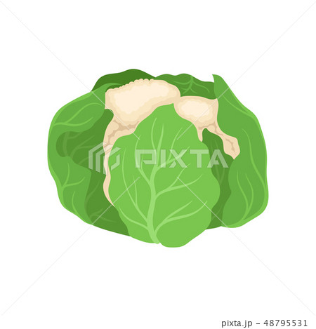 Fresh cauliflower and organic food. Vegetarianism concept. 48795531