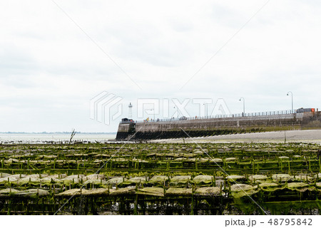 Oyster farms at low tide in Cancale 48795842