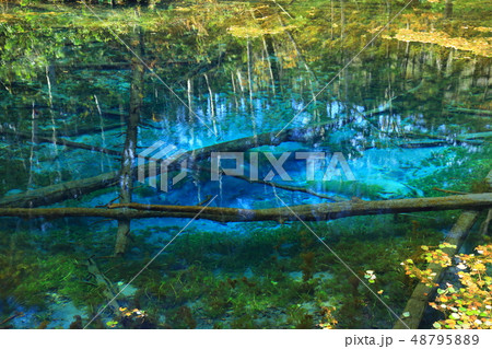 北海道　　神の子池　 48795889