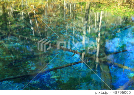 北海道 神の子池 北海道 神の子池 48796000