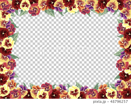Pansy frame red type Pansy frame red type 48796257