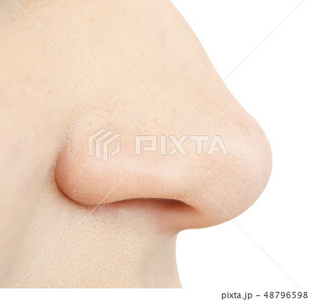 human nose human nose 48796598