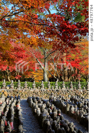 紅葉のあだし野念仏寺 48797764