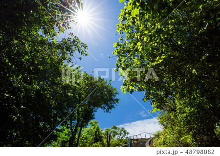 龍観山 風景 48798082