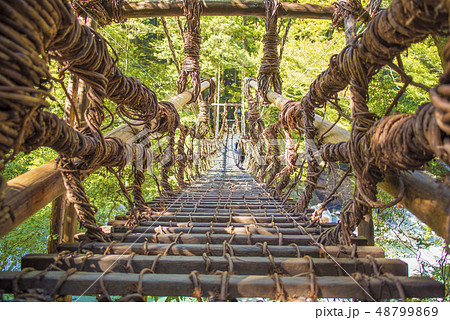 祖谷のかずら橋 48799869