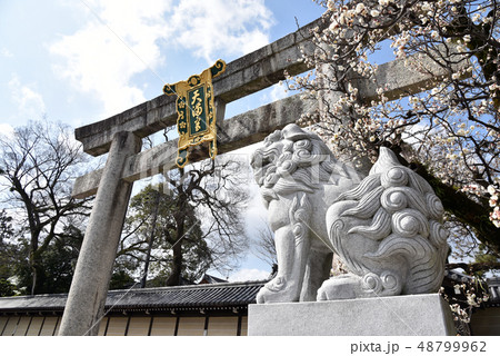 北野天満宮 北野天満宮 48799962