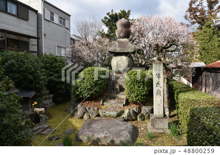 北野天満宮　東向観音寺 48800259