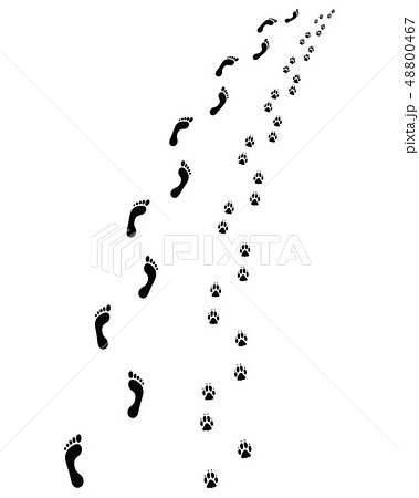 Prints of human feet and dog paws 48800467