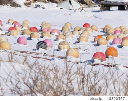 雪の浜辺に並ぶブイ 少し引き 48800567