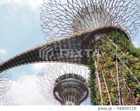 ガーデンズバイザベイ Gardens by the bay 48800720