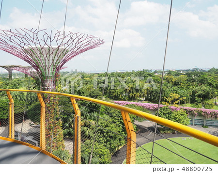 ガーデンズバイザベイ Gardens by the bay 48800725