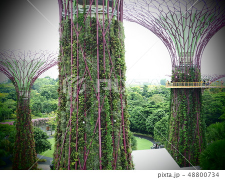 ガーデンズバイザベイ Gardens by the bay ガーデンズバイザベイ Gardens by the bay 48800734