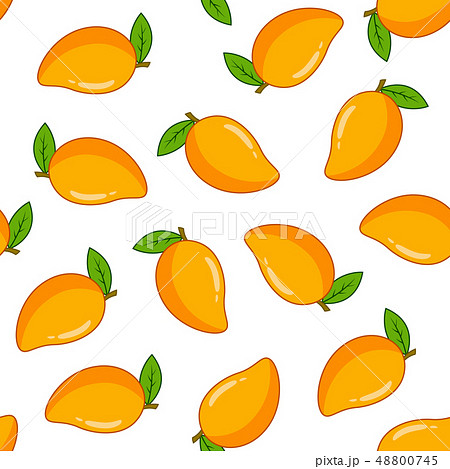 Seamless pattern with mango Seamless pattern with mango 48800745