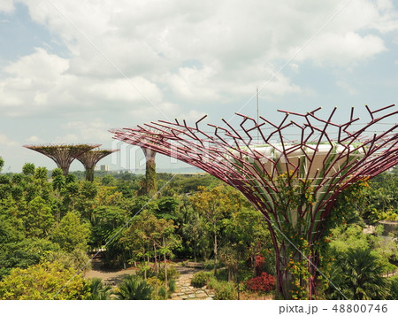 ガーデンズバイザベイ Gardens by the bay 48800746