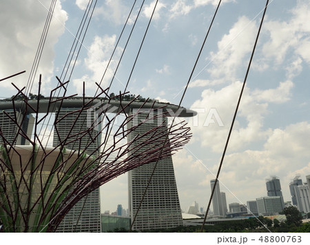 ガーデンズバイザベイ Gardens by the bay ガーデンズバイザベイ Gardens by the bay 48800763