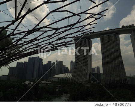 ガーデンズバイザベイ Gardens by the bay 48800775