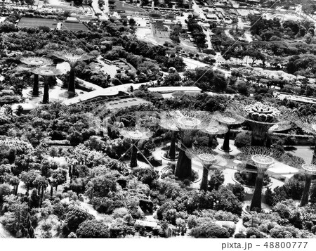 ガーデンズバイザベイ Gardens by the bay 48800777