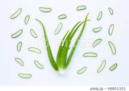 Aloe vera is a popular medicinal plant for health Aloe vera is a popular medicinal plant for health 48801301