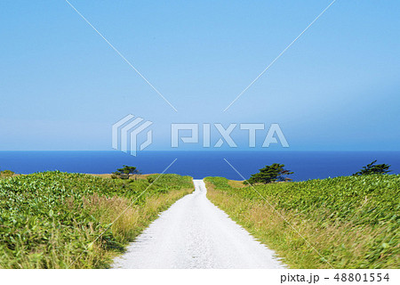 白い道（稚内） 48801554