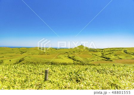 宗谷丘陵 48801555