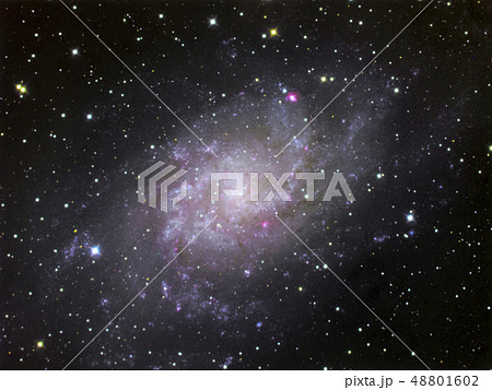 星雲 48801602