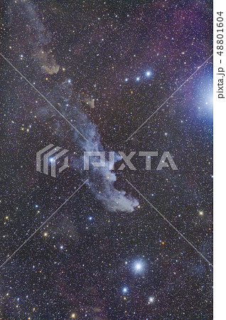 星雲 48801604