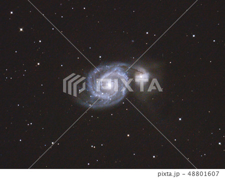 星雲 星雲 48801607