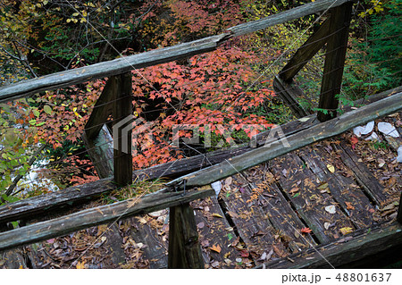 山 / 自然 / 森 / 登山 / 山道のイメージ 山 / 自然 / 森 / 登山 / 山道のイメージ 48801637