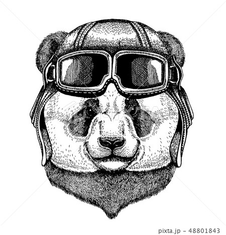 Panda. Bamboo bear. Animal wearing aviator helmet with glasses. Vector picture. 48801843