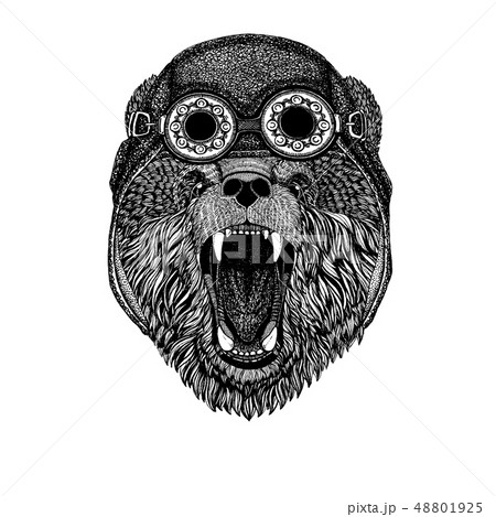 Cute animal wearing motorcycle, aviator helmet Bear Hand drawn picture for tattoo, t-shirt, emblem 48801925