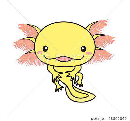 ウーパールーパー 全身 Axolotl 黄色のイラスト素材 4046