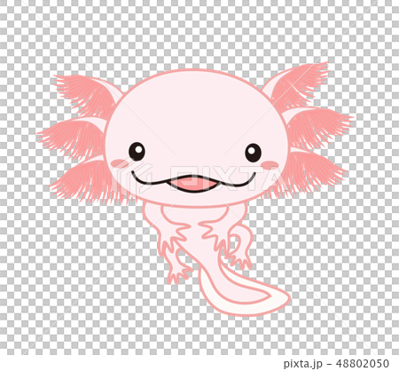 Wooper Lapa Axolotl Pink 48802050