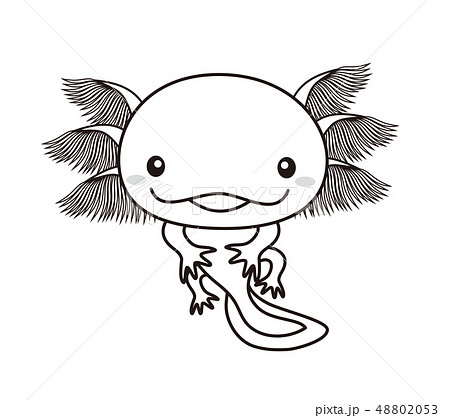ウーパールーパー 全身 Axolotl ぬりえのイラスト素材 4053