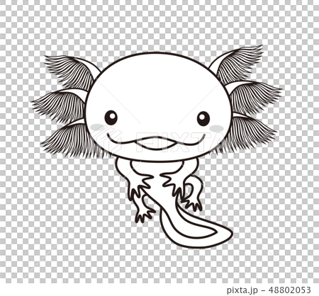 ウーパールーパー 全身 Axolotl ぬりえのイラスト素材 4053