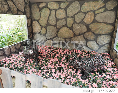 ガーデンズ・バイ・ザ・ベイ  フラワードーム 48802077