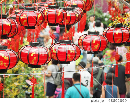 ガーデンズ・バイ・ザ・ベイ  フラワードーム 48802099