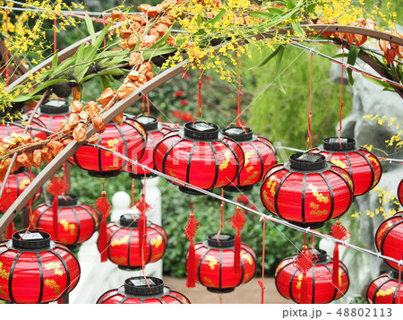 ガーデンズ・バイ・ザ・ベイ  フラワードーム 48802113