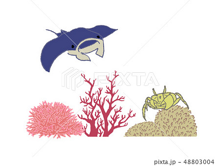 海の生き物 マンタとサンゴとカニのイラスト素材