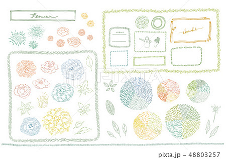 botanical drawing 48803257