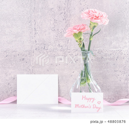 花 フラワー お花 48803876