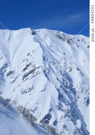 銀嶺の北アルプス　唐松岳 48804201
