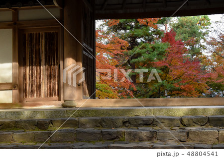 法然院・紅葉 48804541