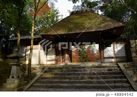 法然院・紅葉 48804542