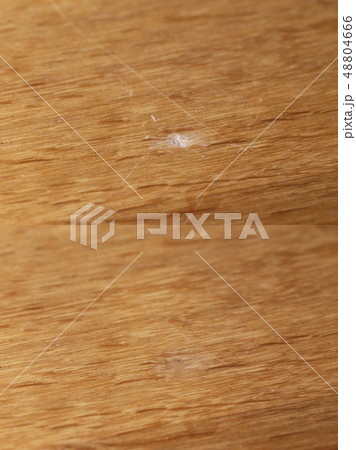 床補修　前と後の比較 48804666