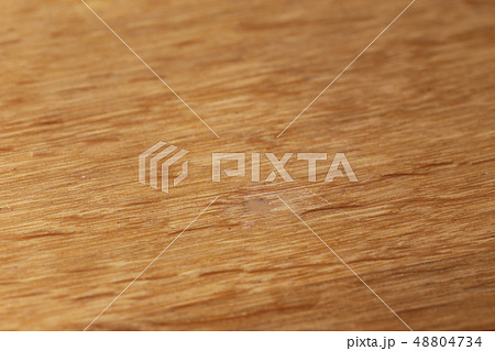 木補修の後 48804734