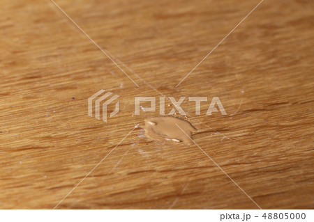 木の穴埋め補修材を溶かし入れた直後 木の穴埋め補修材を溶かし入れた直後 48805000