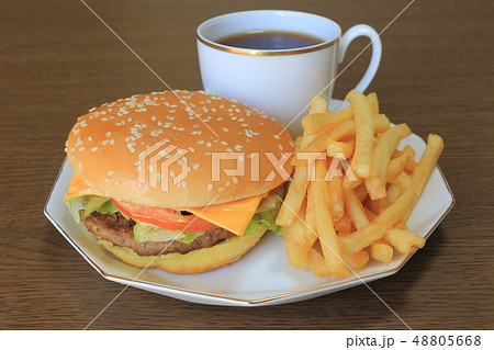 ハンバーガー 48805668