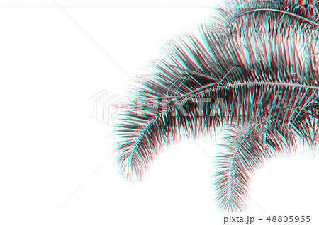 Palm leaves on blue sky with copy space 48805965