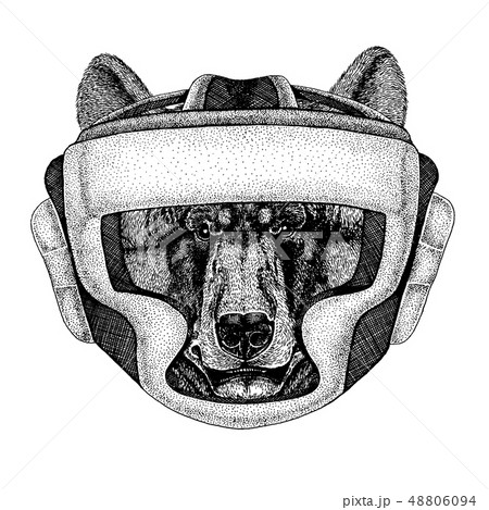 Black bear. Boxer animal. Vector illustration for t-shirt. Sport, fighter isolated on white Black bear. Boxer animal. Vector illustration for t-shirt. Sport, fighter isolated on white 48806094