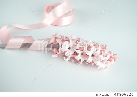 Fragile branch of pink hyacinth decorated Fragile branch of pink hyacinth decorated 48806220